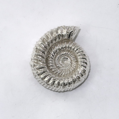 Silver ammonite paperweights